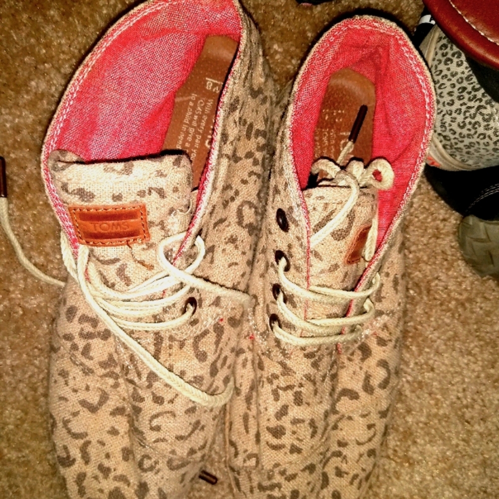 TOMS
